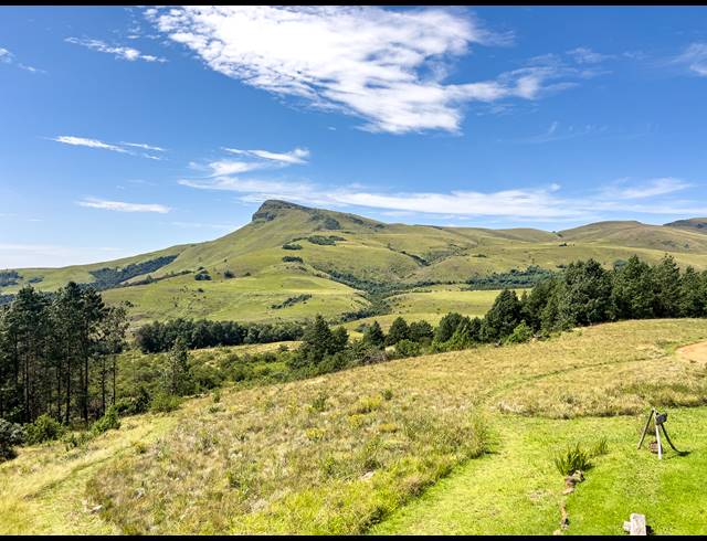 40HA FARM FOR SALE IN DARGLE